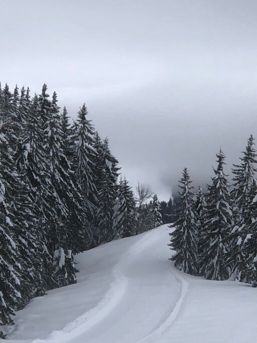 Station de ski 8 - Epitop Pharmacie